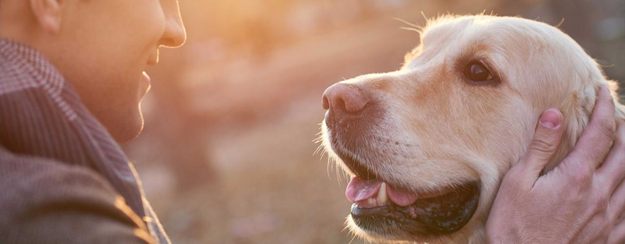 Animal Behavioural Consultants man and dog copy